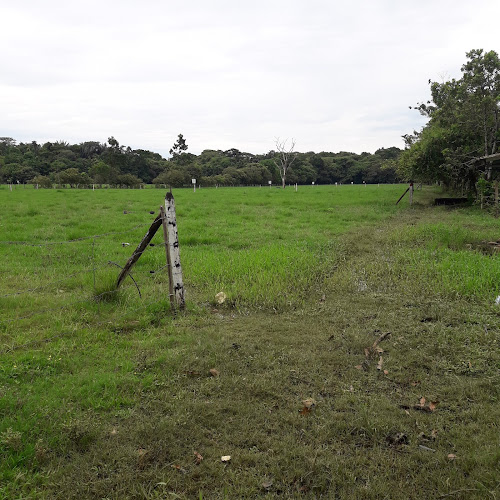 preparatorias Villavicencio